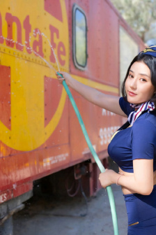 蜉蝣冷山就木